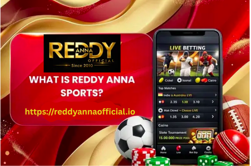 What Is Reddy Anna Sports